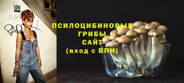 гашик Лиски