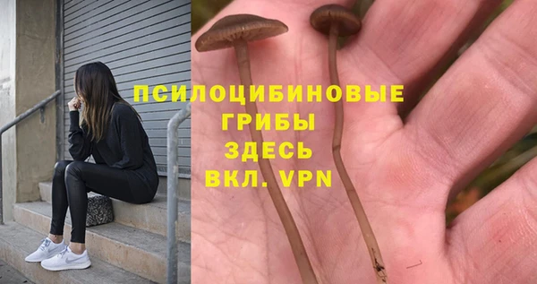 гашик Лиски