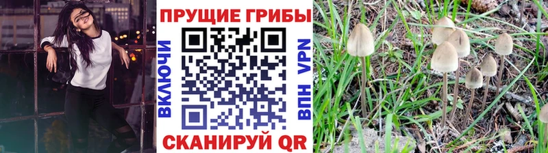 Галлюциногенные грибы мухоморы Красногорск