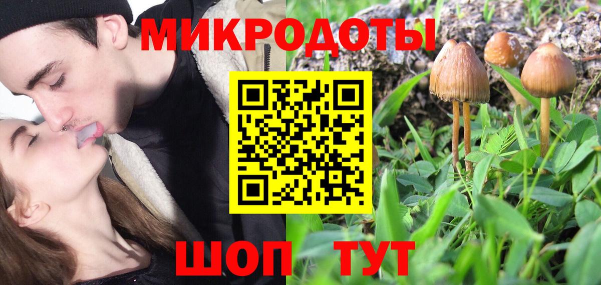 Красногорск  Псилоцибиновые грибы мухоморы  Вход с VPN 
