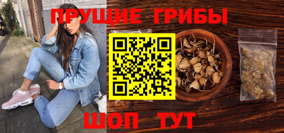 Галлюциногенные грибы Cubensis Красногорск